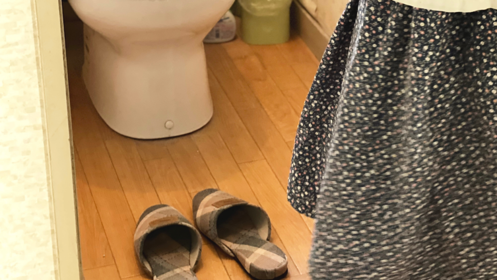  indoor slippers