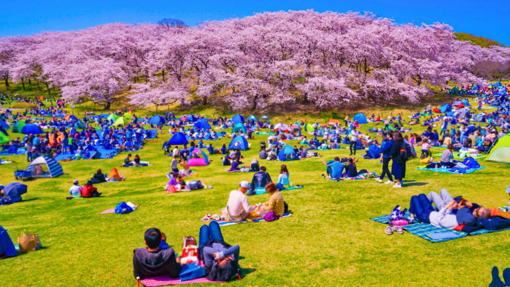 Japanese Culture and Traditions