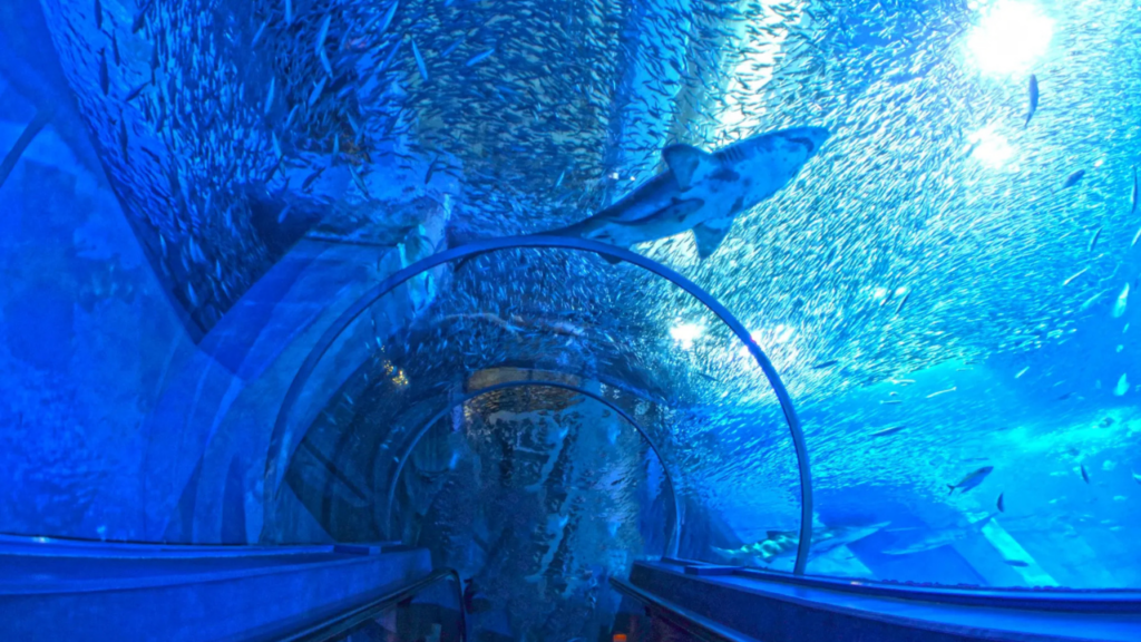 Aquariums in Japan