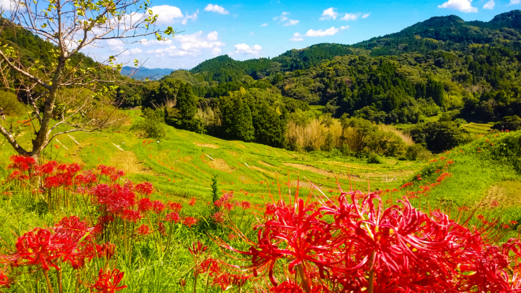Japanese Holidays