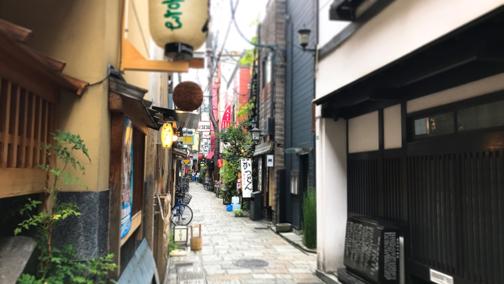 Hozenji Yokocho