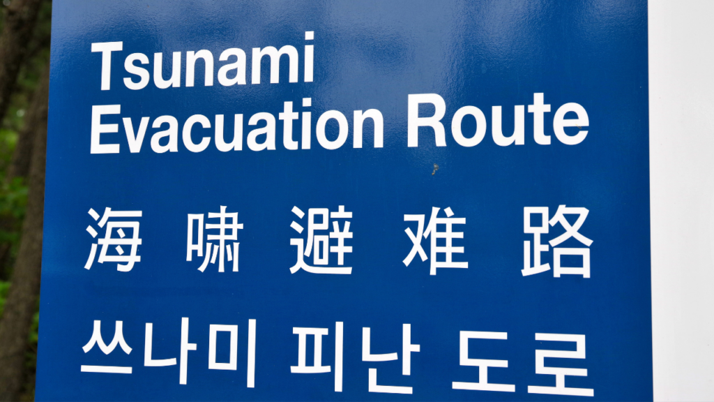 tsunami japan