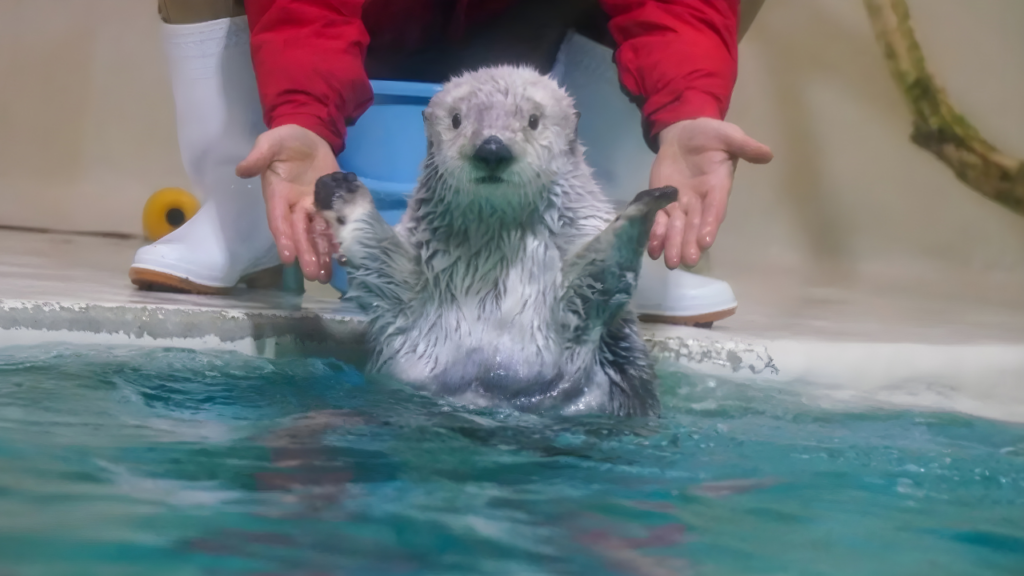 Aquariums in Japan