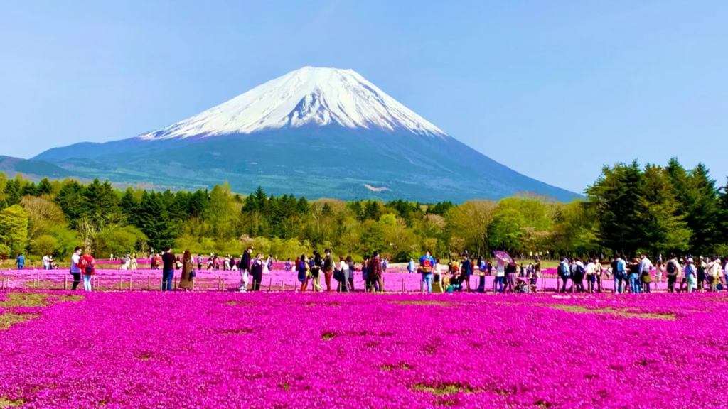 Japanese Holidays