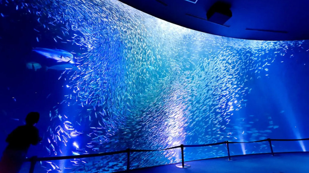 Aquariums in Japan