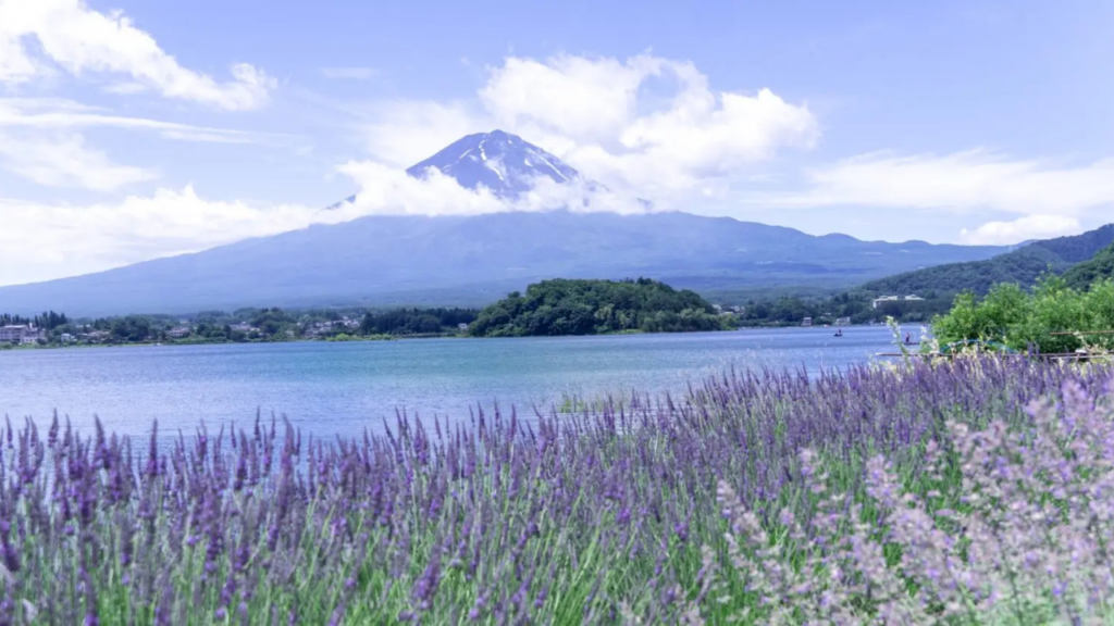 Yamanashi