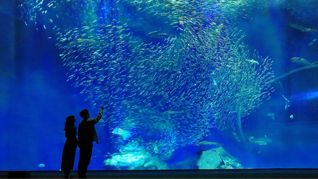 Aquariums in Japan