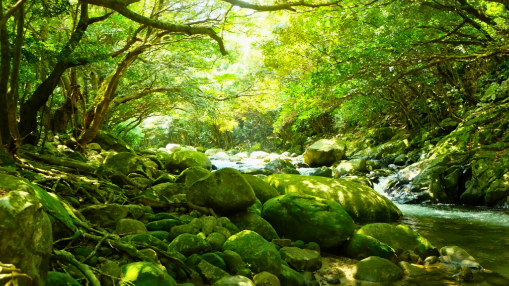 Yakushima