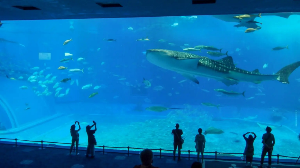 Aquariums in Japan