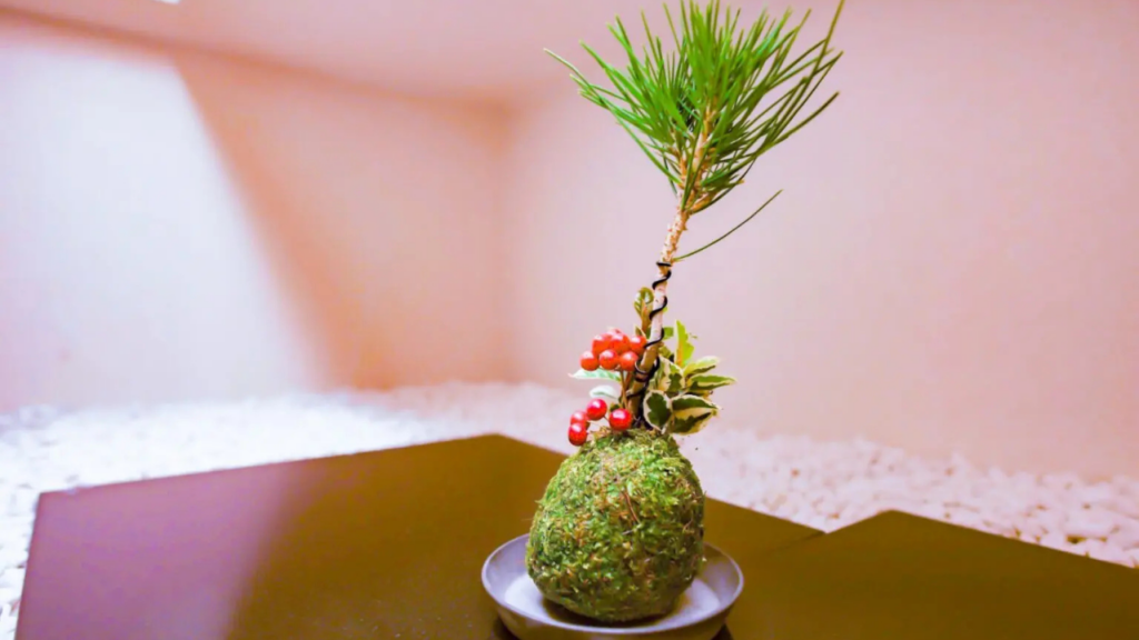 bonsai tree