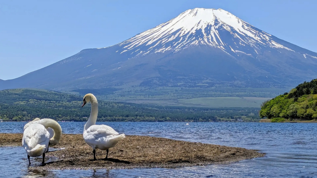 Yamanashi