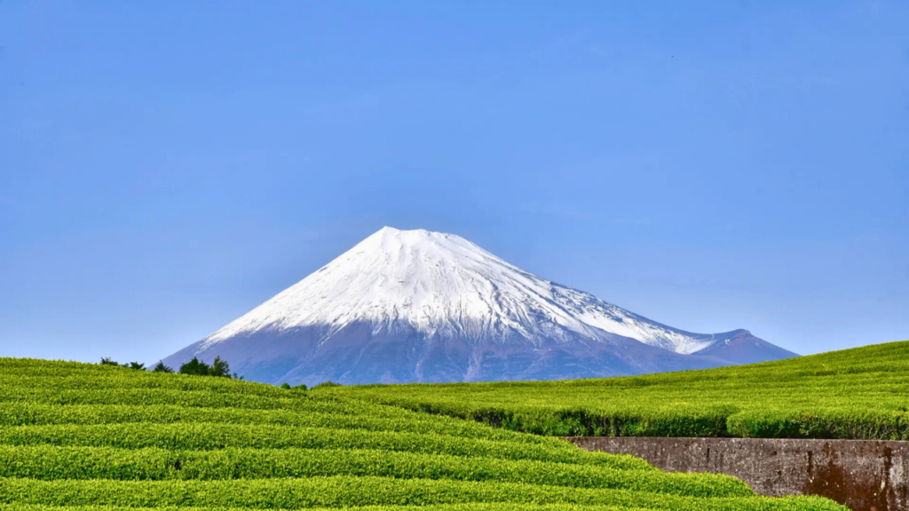 Shizuoka