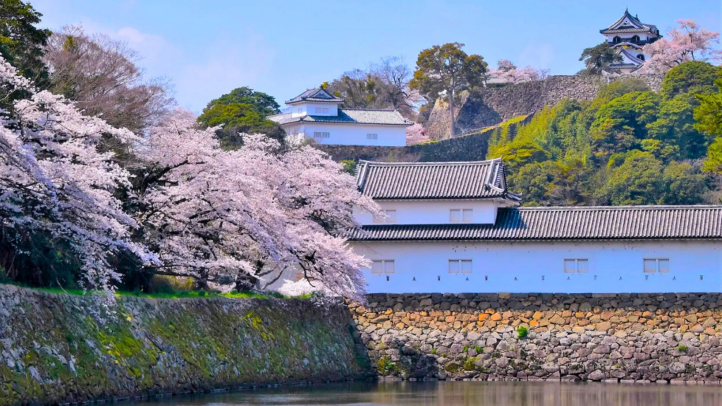 Shiga