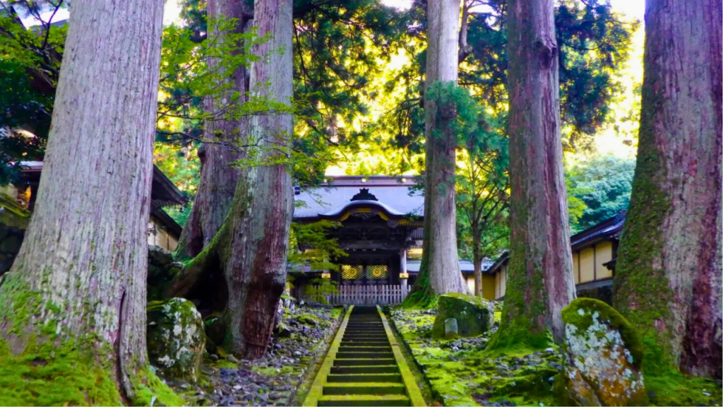 Fukui
