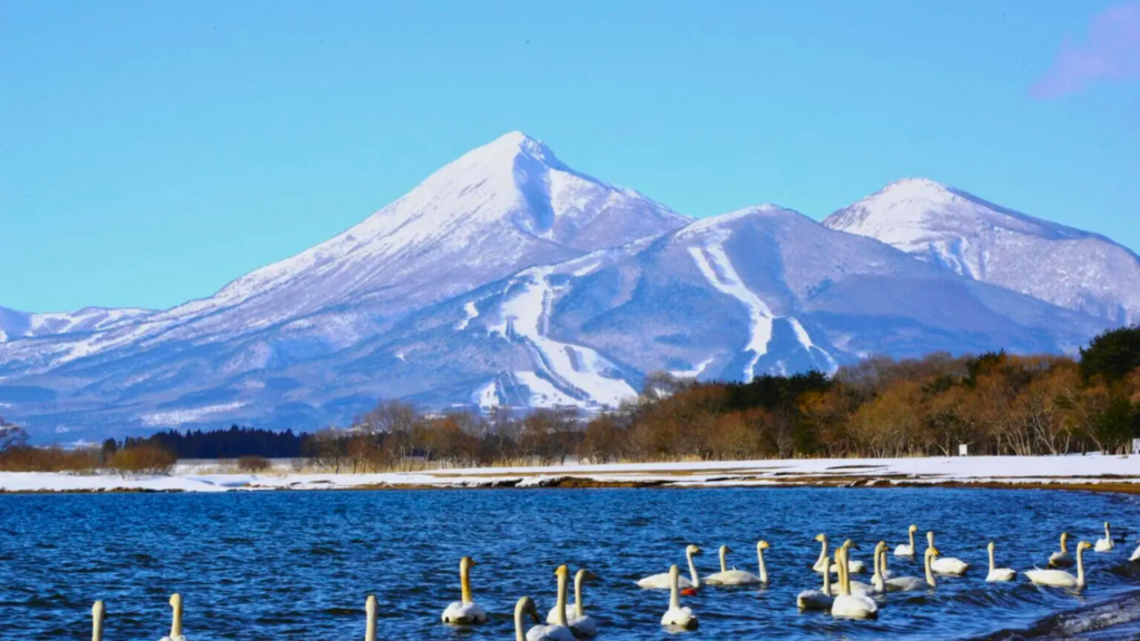 fukushima