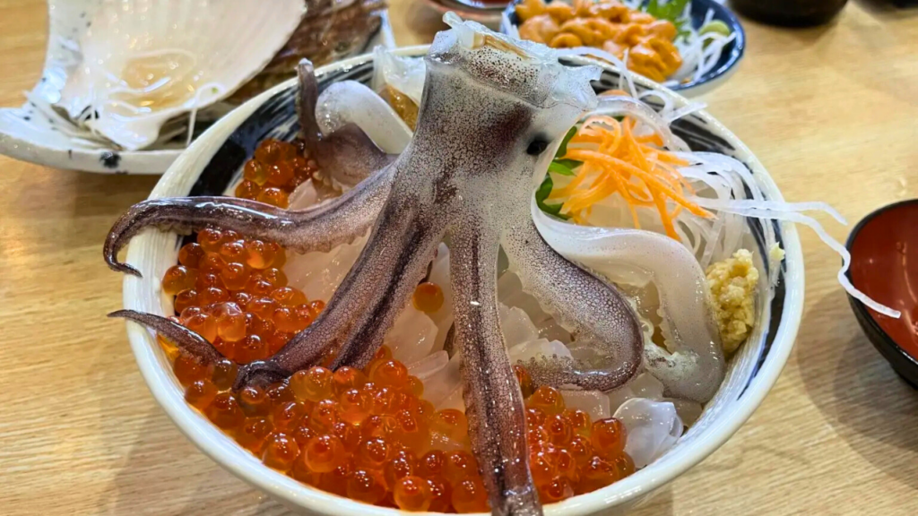 Hakodate, HOKKAIDO