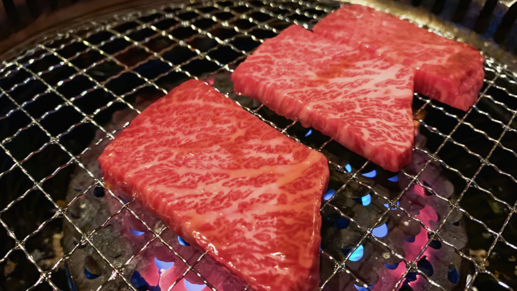 Hida beef