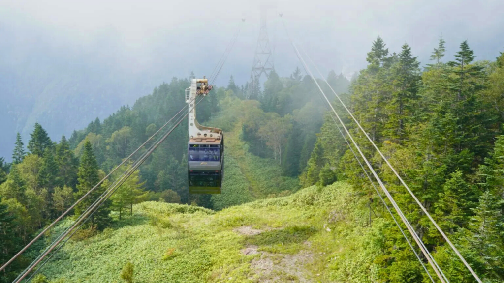 Gifu
