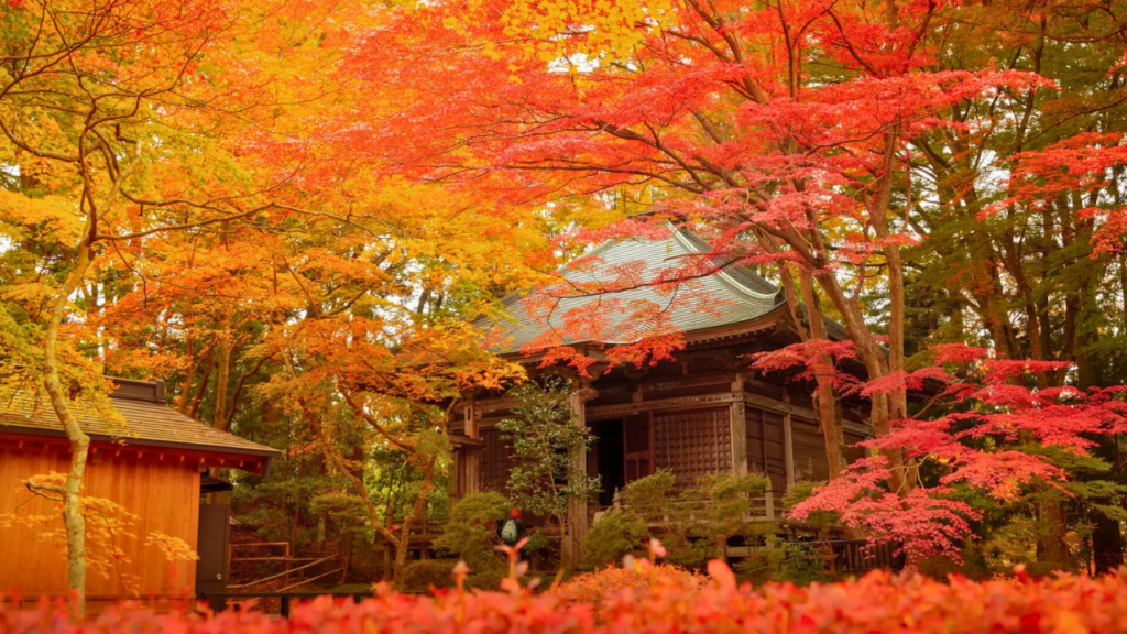 Iwate