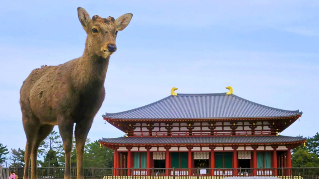 Kofukuji