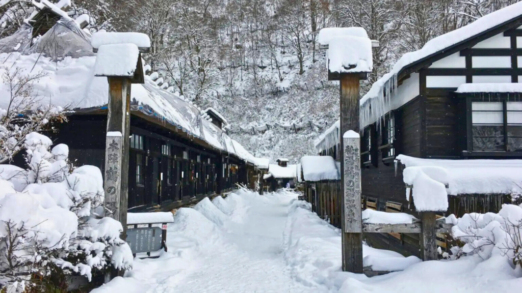Akita