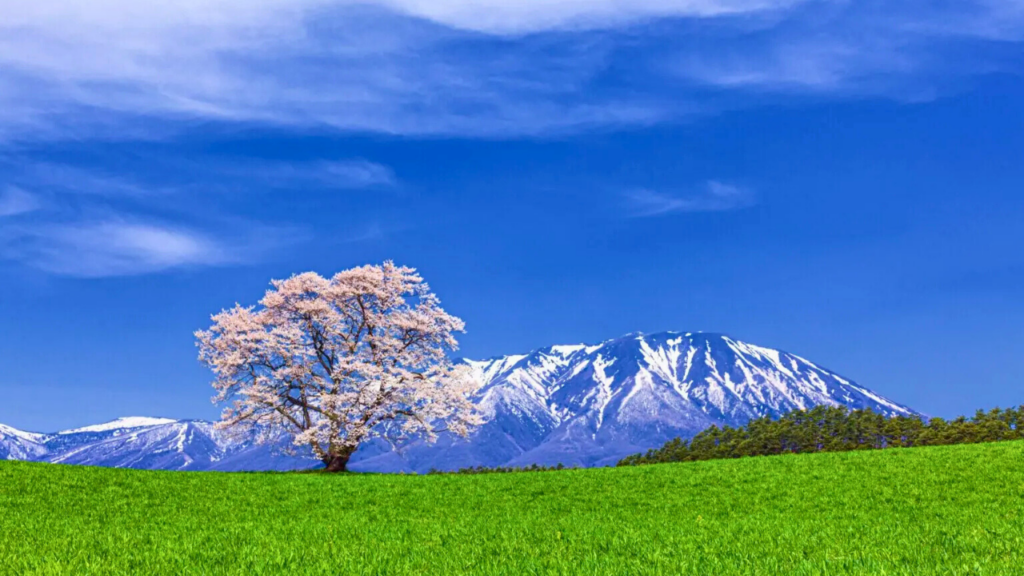 Iwate