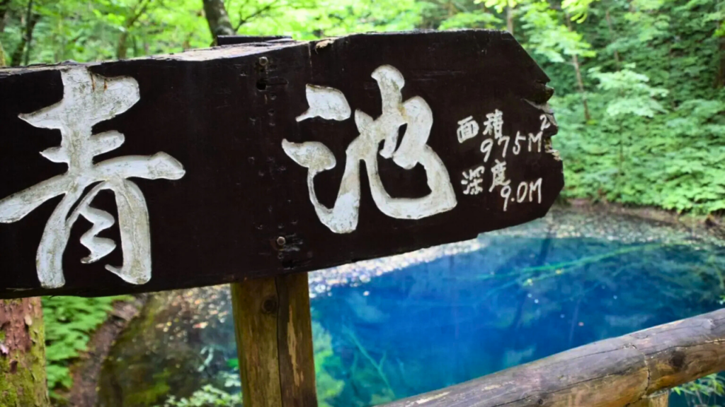 Akita