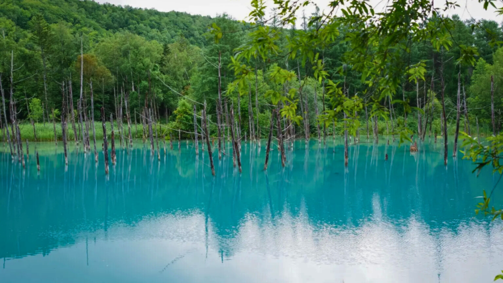 Hokkaido