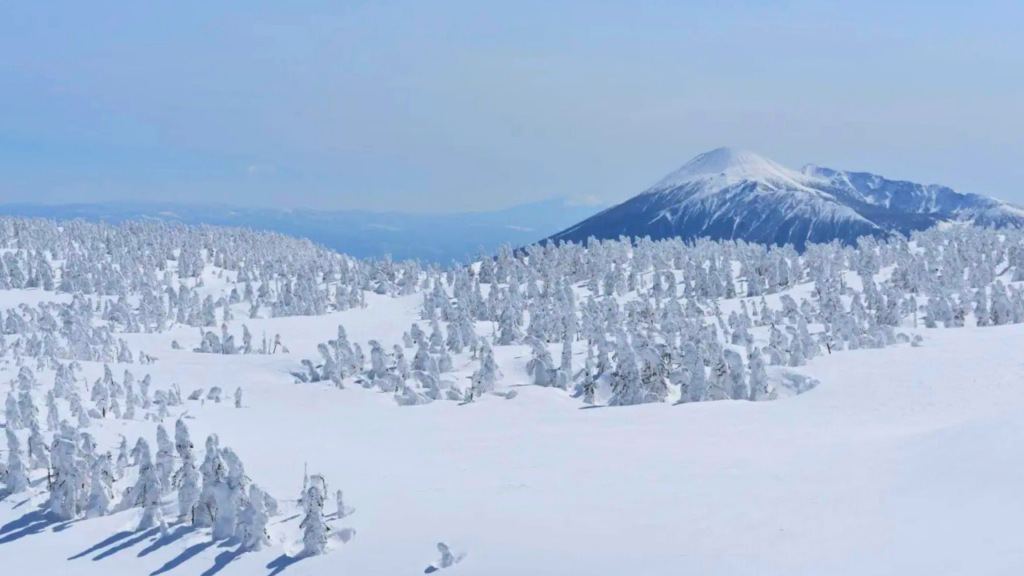 Iwate