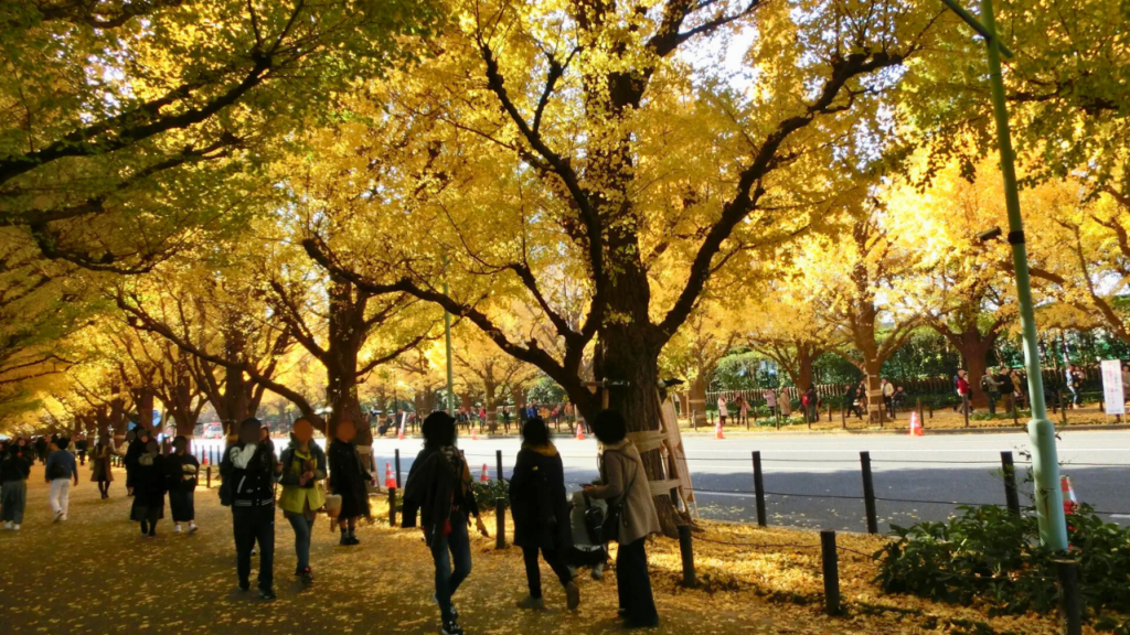 Meiji Jingu Shrine
