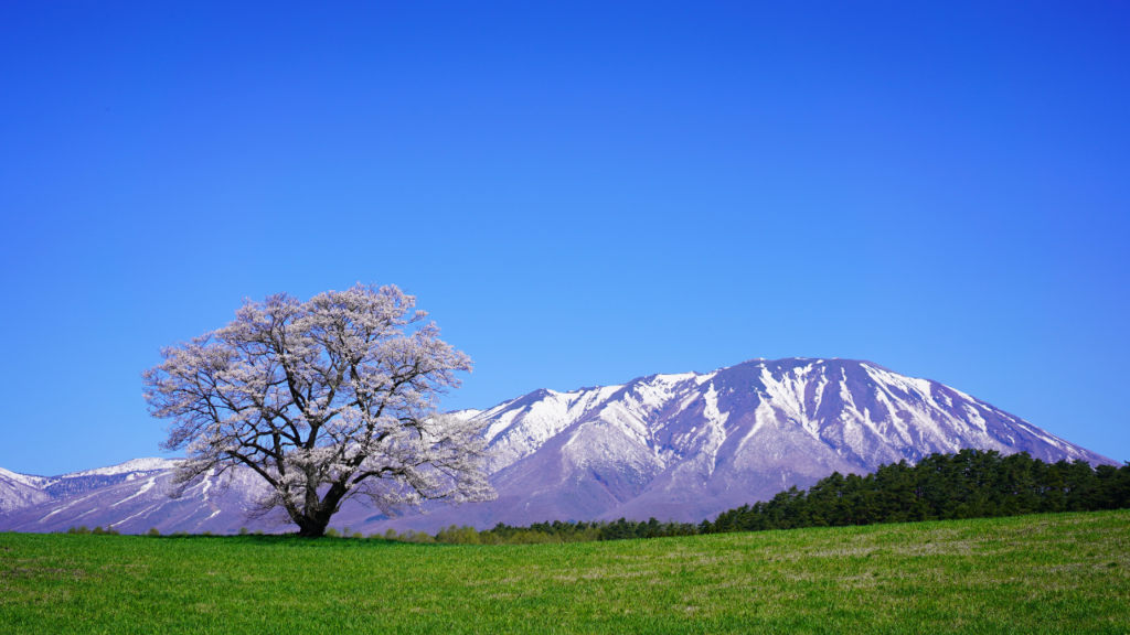 Mount Iwate