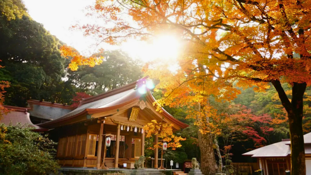Near Dazaifu Tenmangu