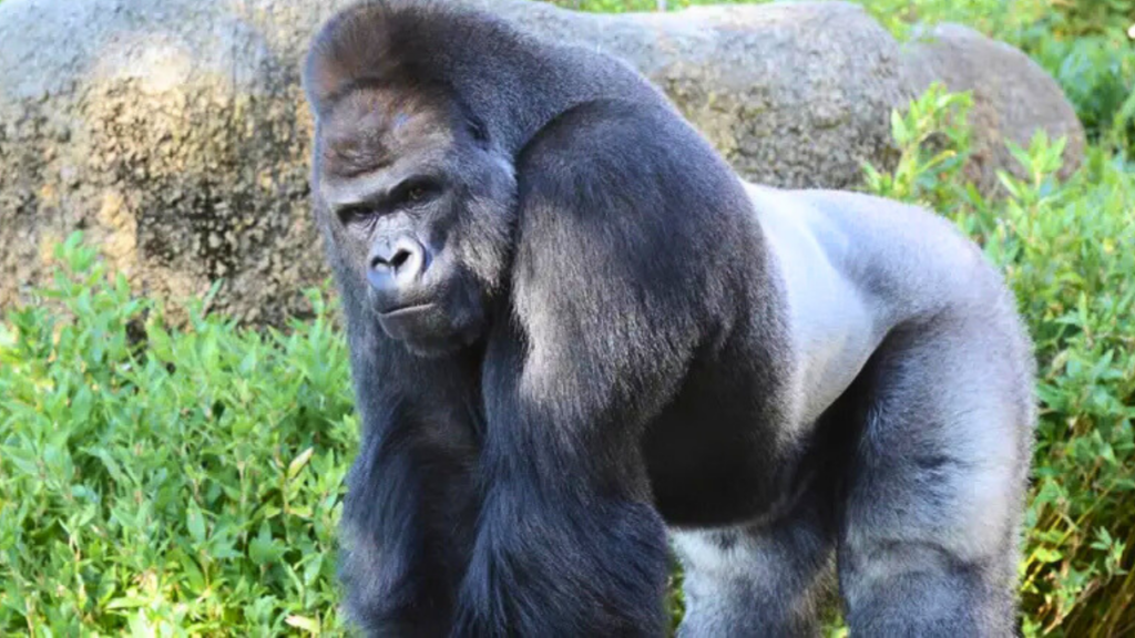 Higashiyama Zoo Nagoya