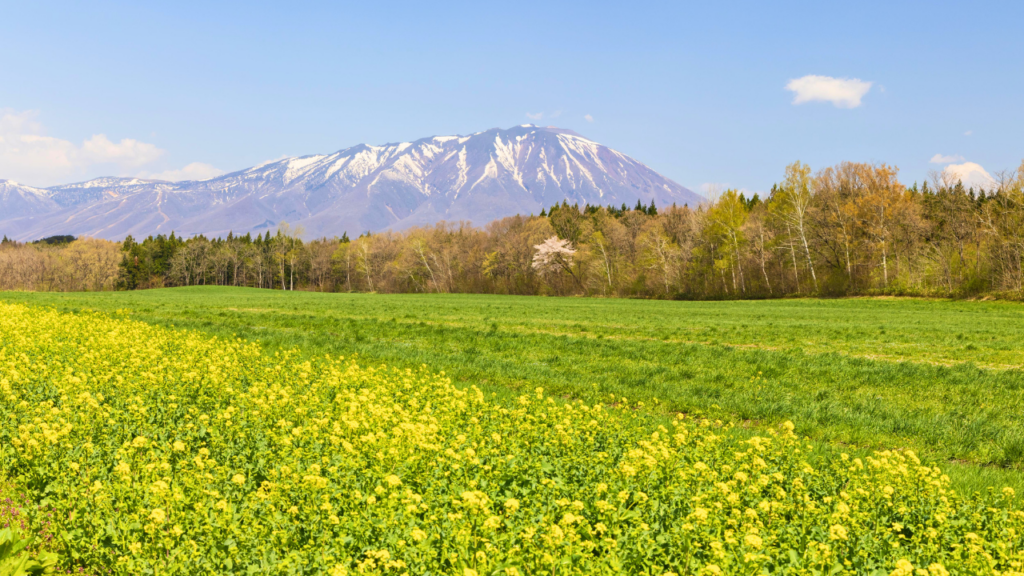 Mount Iwate