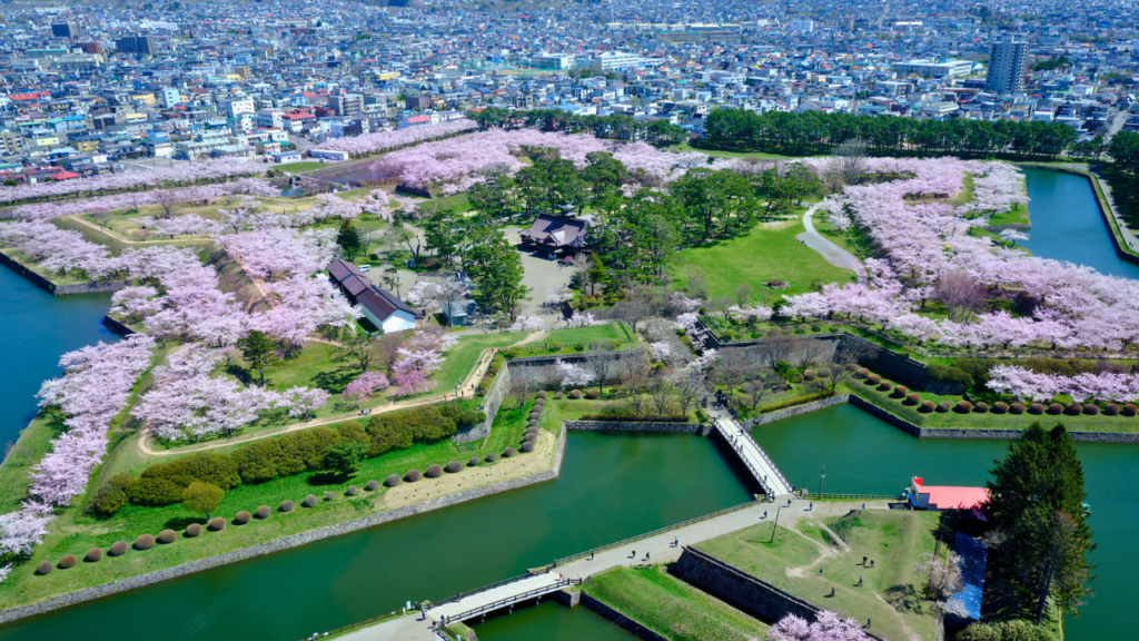 Goryokaku Tower