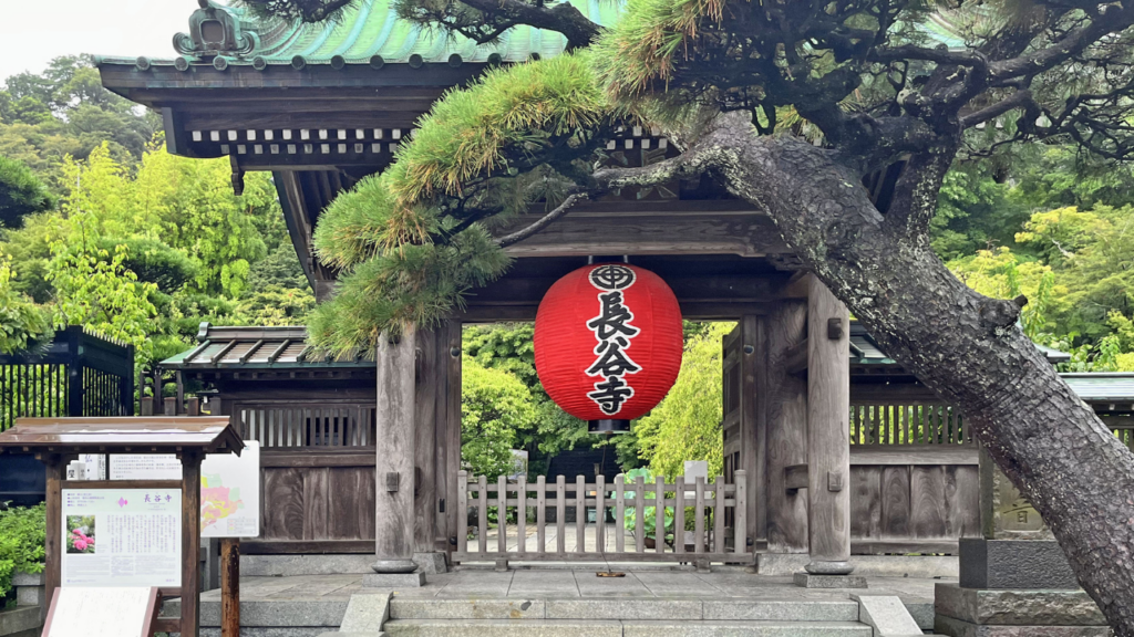 hasedera kamakura