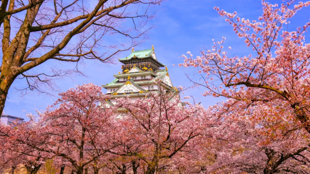 Osaka Castle