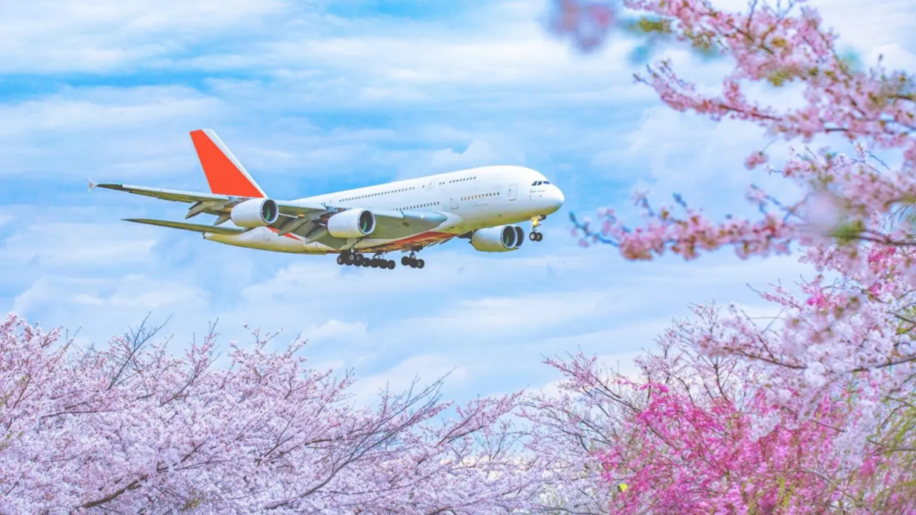 japan 10 day itinerary